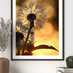 Hand-Painted Wall Hangings